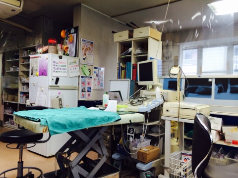 大淀動物病院診療室